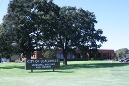 Seagoville Public Library Logo